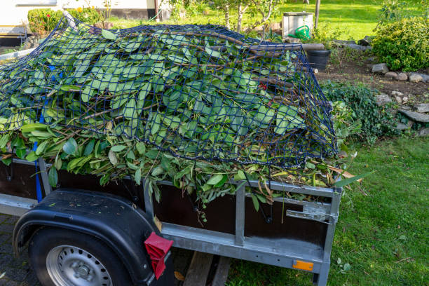 Best Shed Removal  in The Villages, FL